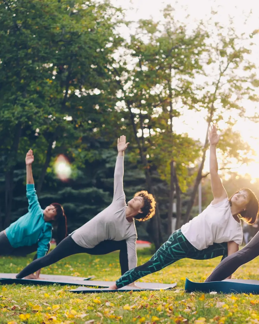 People doing yoga together in a park at sunset